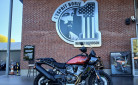 HARLEY-DAVIDSON ADVENTURE PAN AMERICA 1250 SPECIAL