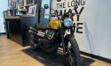 TRIUMPH SCRAMBLER 900 - BRIDEE A2 - 07/2024 - OCCASION - 1100 KMS