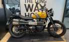 TRIUMPH SCRAMBLER 900 - BRIDEE A2 - 07/2024 - OCCASION - 1100 KMS