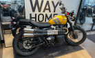 TRIUMPH SCRAMBLER 900 - BRIDEE A2 - 07/2024 - OCCASION - 1100 KMS