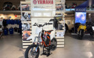 65 SX 2022 56€/MOIS* 
