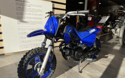 YAMAHA PW50