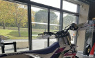 YAMAHA YZ250F 50th Anniversary