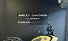 HARLEY-DAVIDSON ADVENTURE PAN AMERICA 1250 SPECIAL