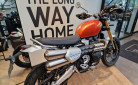 TRIUMPH SCRAMBLER 1200 XE 02/25 600KMS