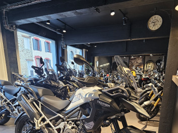 TRIUMPH TIGER 1200 GT PRO