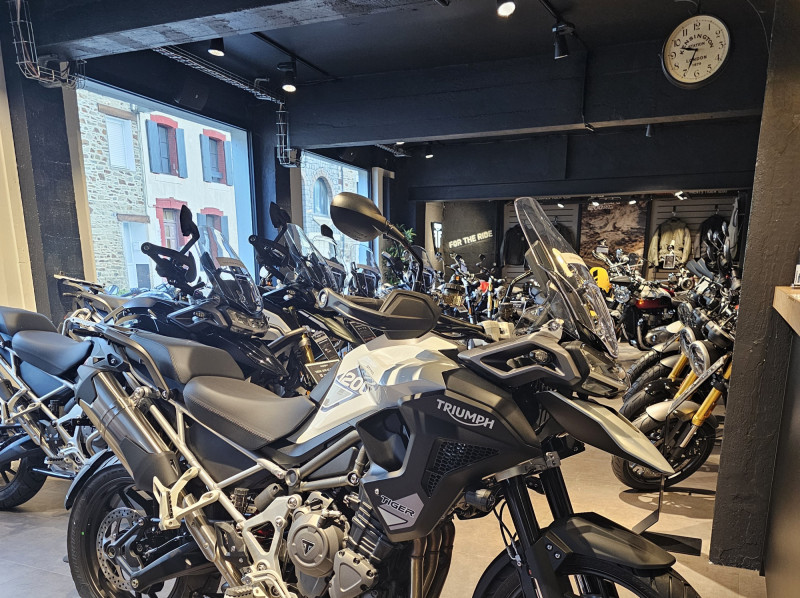 TRIUMPH TIGER 1200 GT PRO