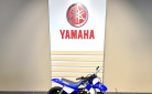 YAMAHA PW50