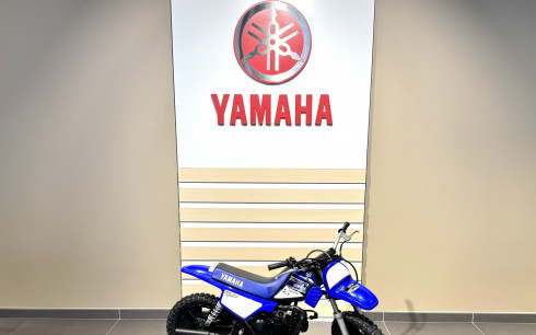 YAMAHA PW50