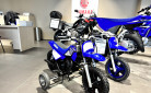 YAMAHA PW50