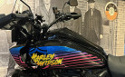 HARLEY-DAVIDSON ADVENTURE PAN AMERICA 1250