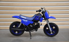 YAMAHA PW50