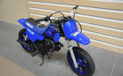YAMAHA PW50