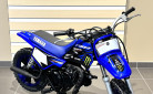 YAMAHA PW50
