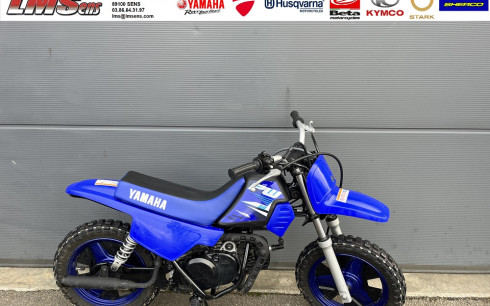 YAMAHA PW50