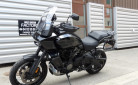 HARLEY-DAVIDSON ADVENTURE PAN AMERICA 1250 SPECIAL