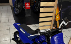 YAMAHA PW50