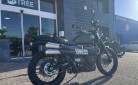 TRIUMPH SCRAMBLER 900