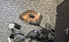 HARLEY-DAVIDSON ADVENTURE PAN AMERICA 1250 SPECIAL