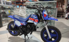 YAMAHA PW50