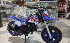 YAMAHA PW50