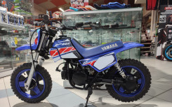 YAMAHA PW50