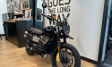 TRIUMPH SCRAMBLER 900 - BRIDEE A2 - 3900 KMS - OCTOBRE 2024 - 1 ERE MAIN