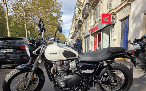 TRIUMPH SCRAMBLER 900