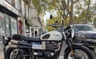 TRIUMPH SCRAMBLER 900