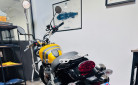 TRIUMPH SCRAMBLER 900