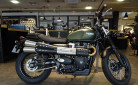 TRIUMPH SCRAMBLER 900