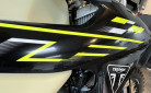 TRIUMPH TF 250 E ENDURO  POUR 187 €/MOIS CHEZ TRIUMPH AGEN 