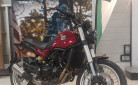BENELLI LEONCINO 500