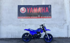 YAMAHA PW50