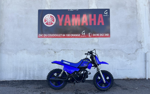 YAMAHA PW50