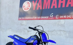 YAMAHA PW50